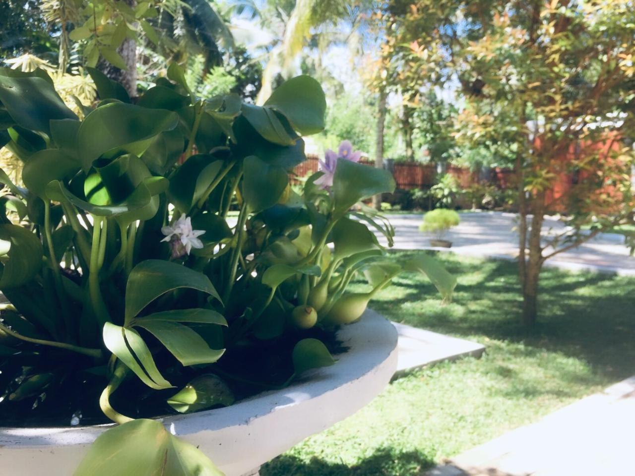 Casa Blanca Hotel Ahangama Ngoại thất bức ảnh