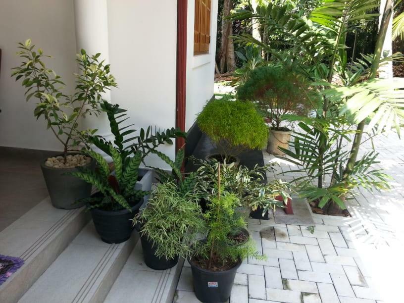 Casa Blanca Hotel Ahangama Ngoại thất bức ảnh